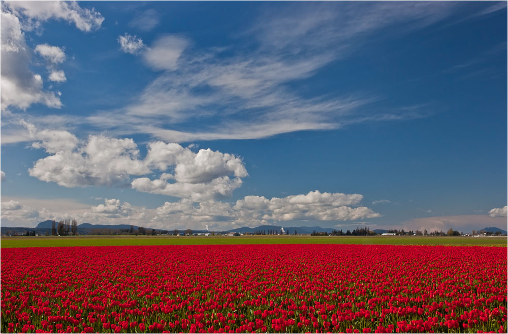 photo "Complimentarity of colors" tags: landscape, travel, spring