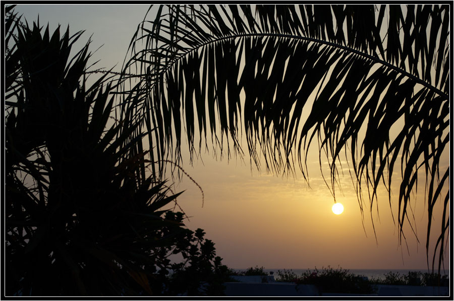 photo "***" tags: landscape, summer, sunset