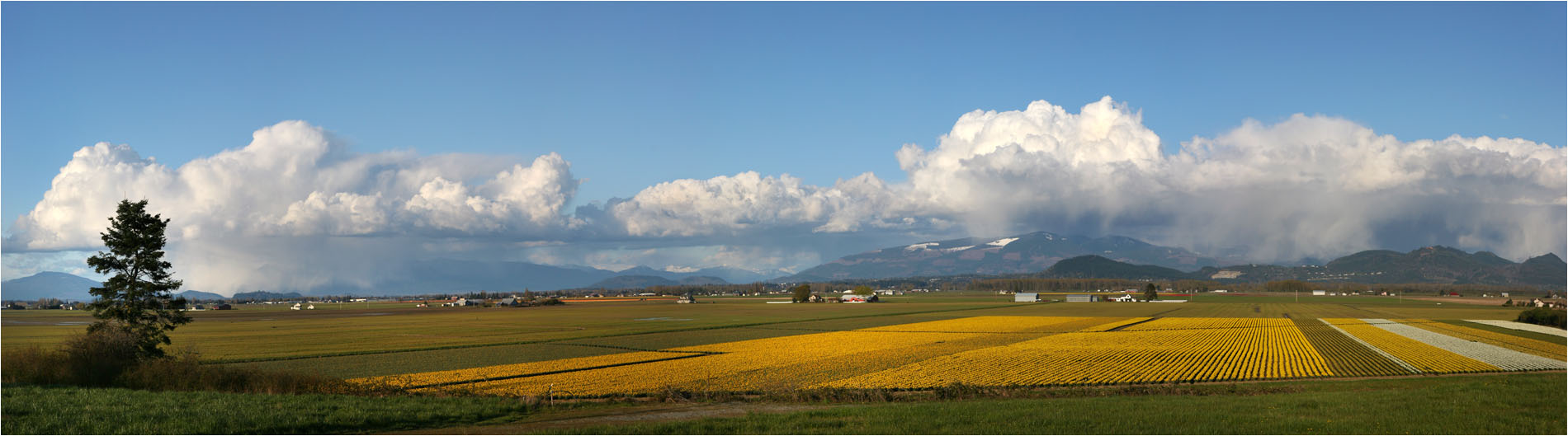 photo "Rains at background" tags: landscape, mountains, spring