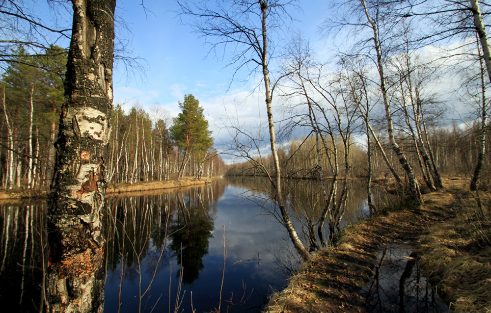 photo "***" tags: landscape, spring