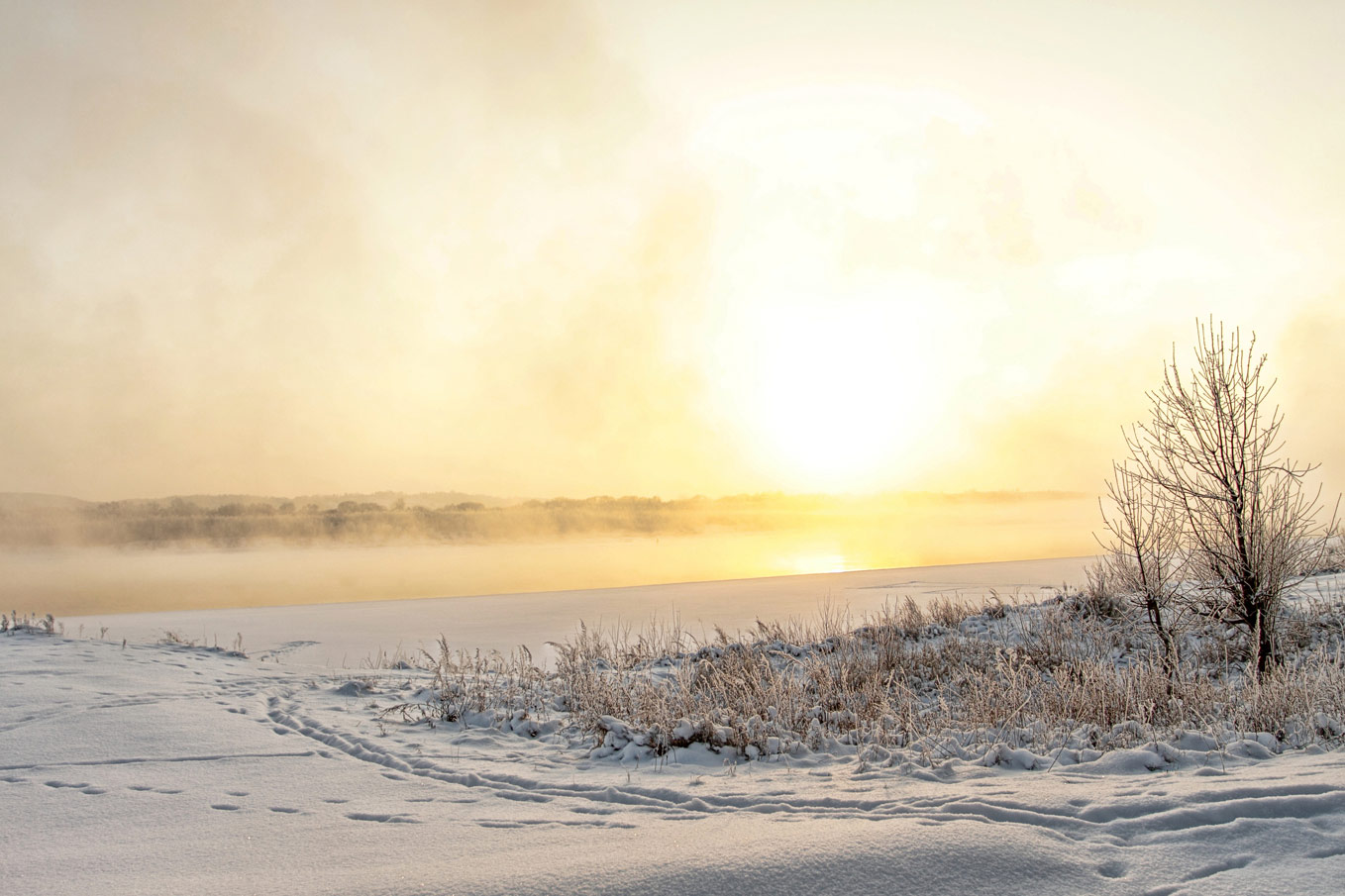фото "Желтый туман" метки: пейзаж, зима