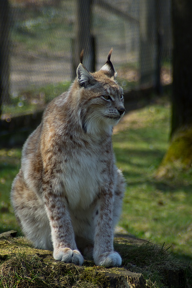 photo "Are you talking to me...?" tags: nature, wild animals