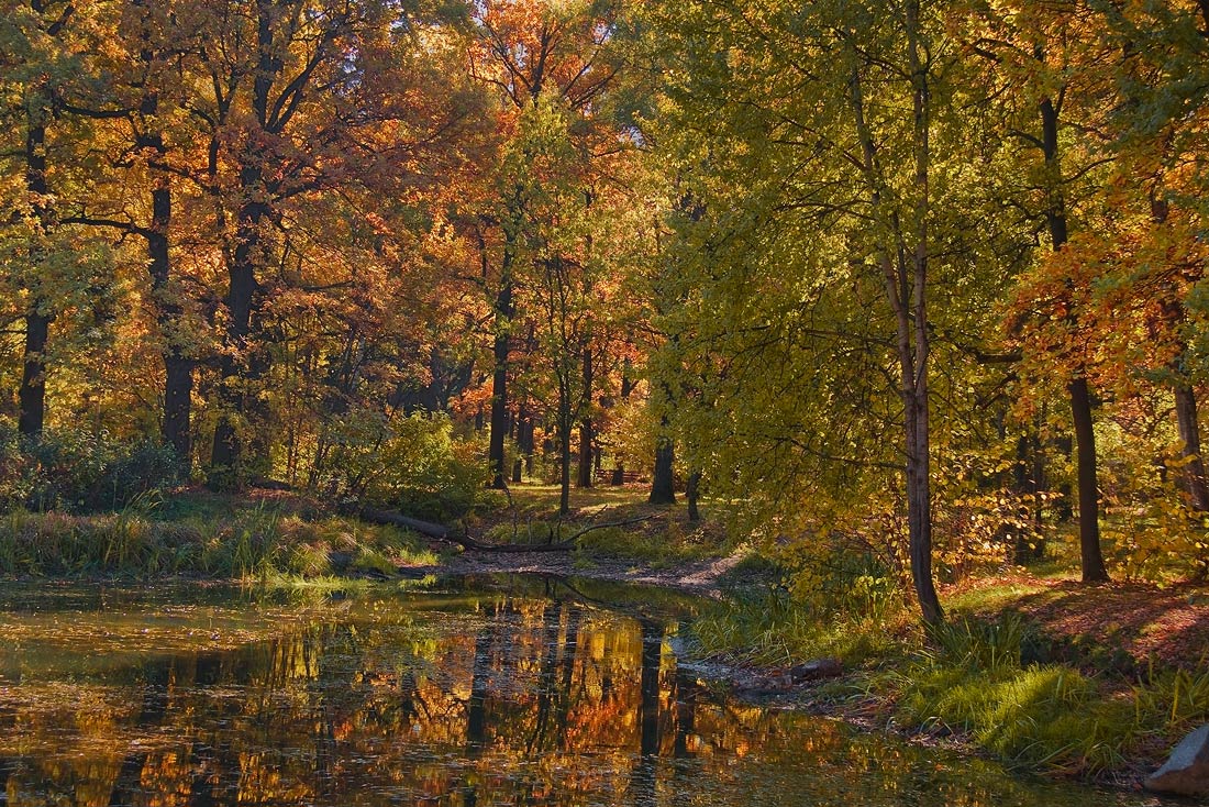 фото "Дух осени" метки: пейзаж, осень