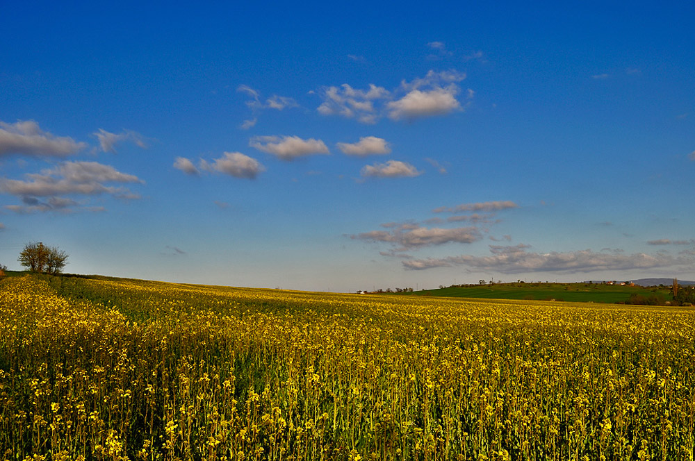 фото "***" метки: пейзаж, 