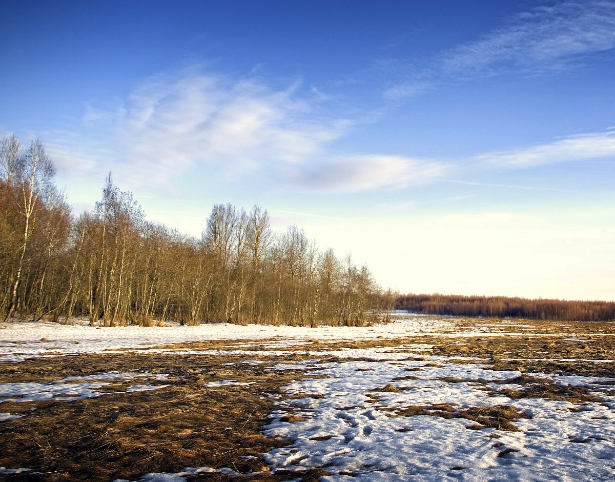 photo "After the snow" tags: landscape, spring