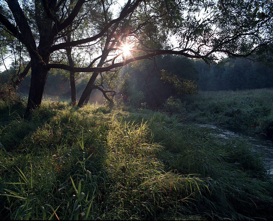 фото "Летнее утро на реке Воря" метки: пейзаж, лето