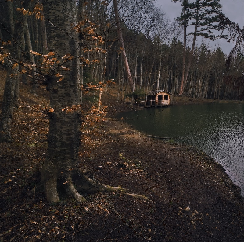 фото "На склонах  Ай-Петри-II" метки: пейзаж, лес
