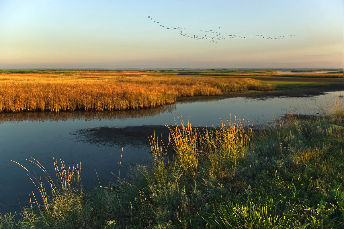 photo "***" tags: landscape, summer, sunset