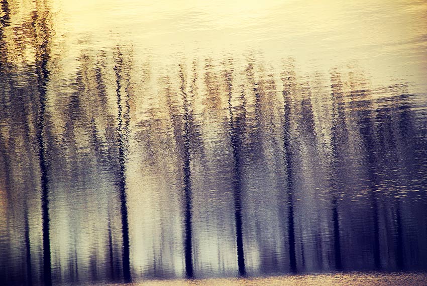 photo "," tags: landscape, 