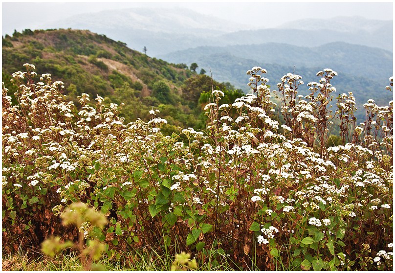 photo "***" tags: landscape, travel, Asia, mountains