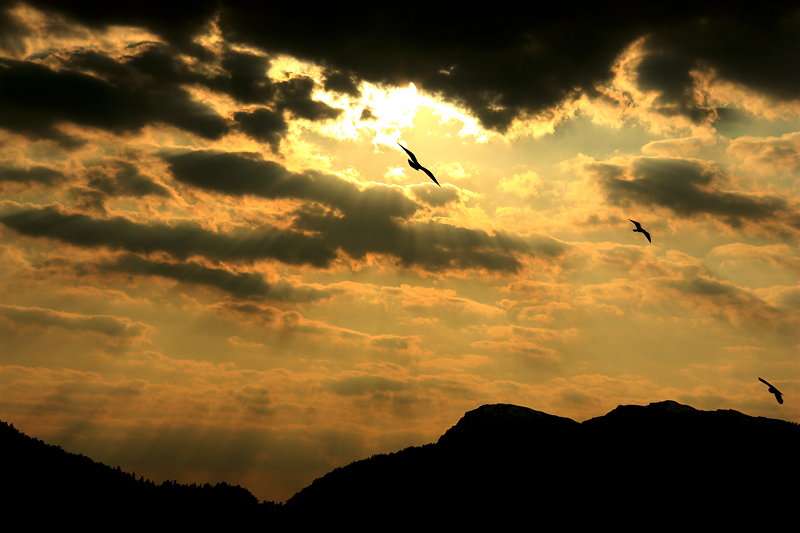 photo "***" tags: landscape, sunset