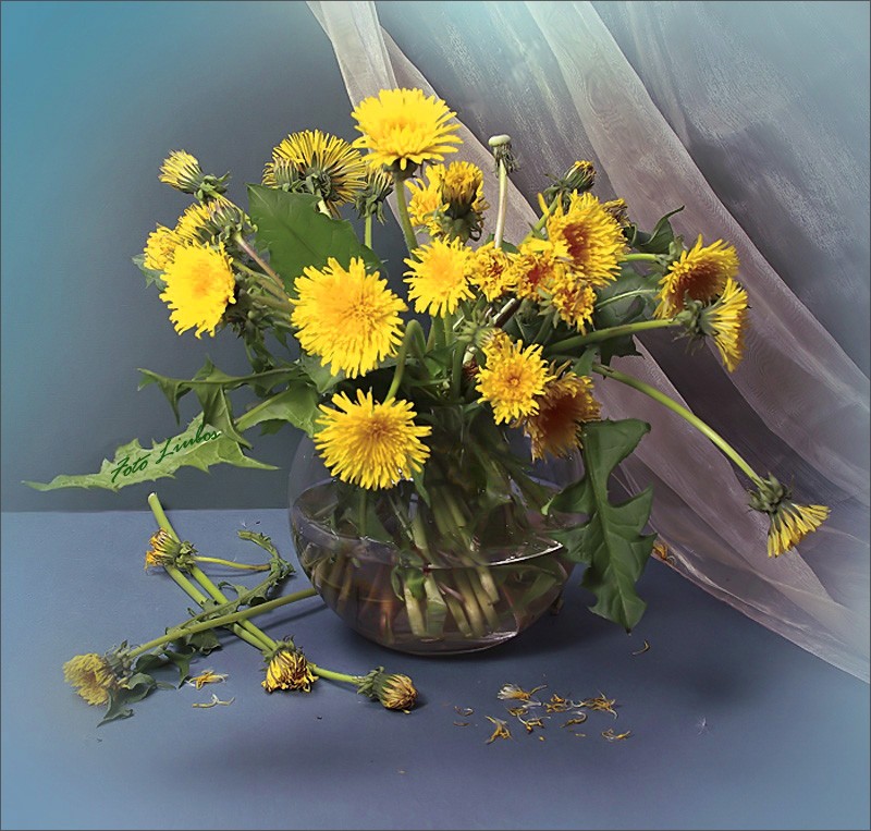 photo "***" tags: still life, 