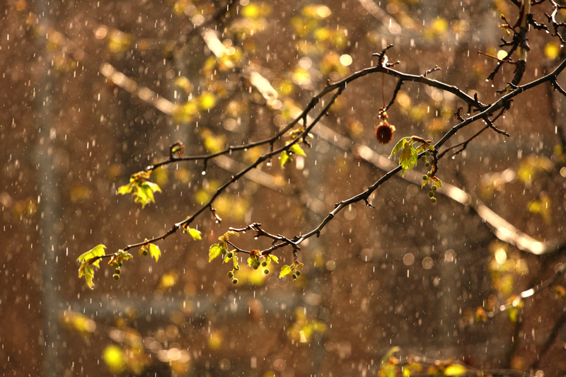 фото "***" метки: пейзаж, природа, весна