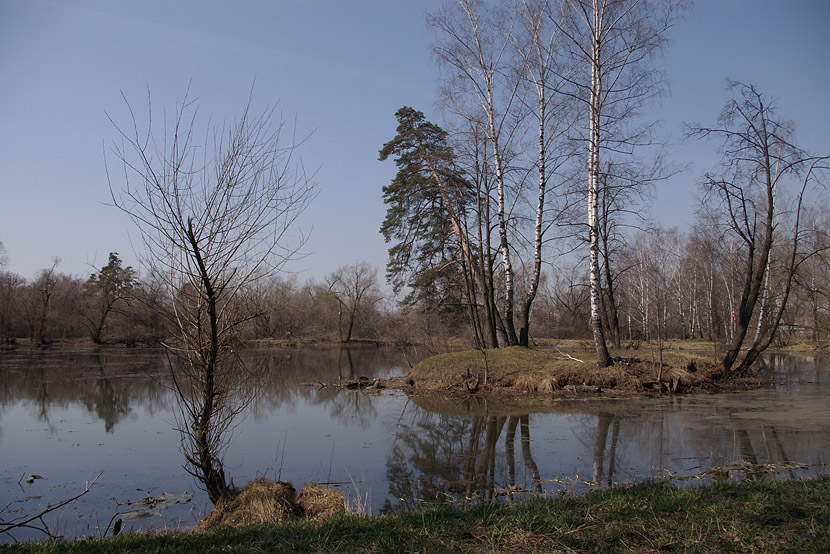 фото "Островок." метки: пейзаж, весна, вода