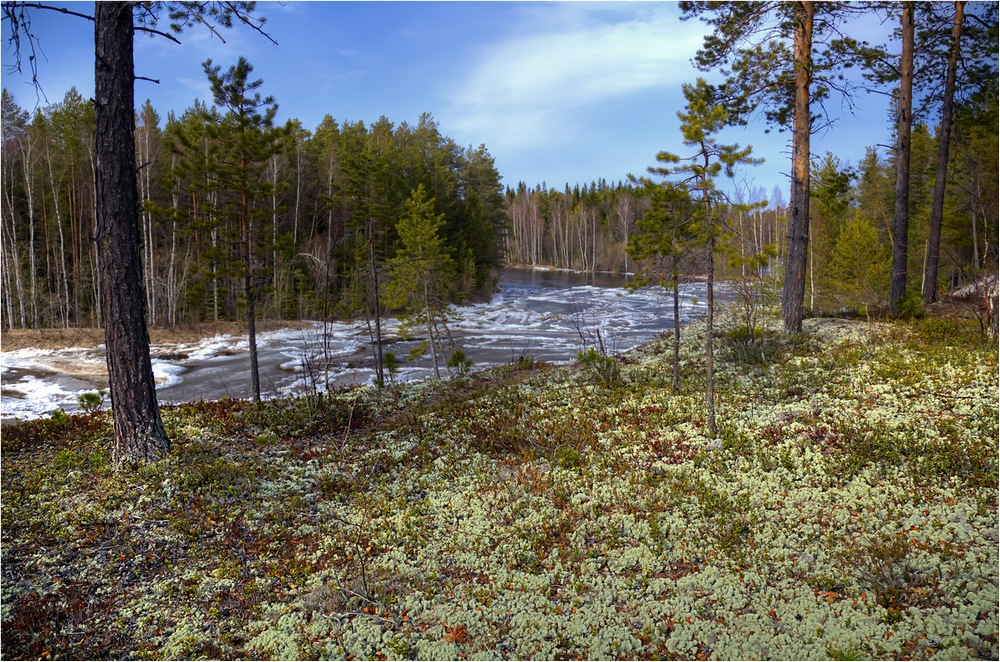 фото "Хруст ягеля" метки: пейзаж, весна