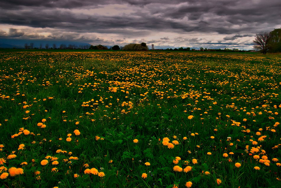 Photo Walking in the Spring Rain by Liubomir - landscape - PhotoForum.ru