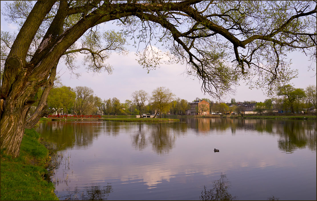 photo "An Evening Pond" tags: , 