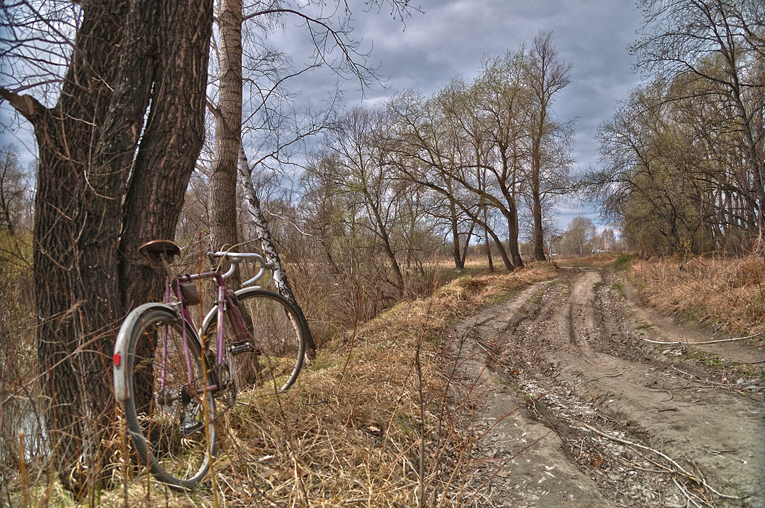 photo "Spring landscape with a bicycle" tags: landscape, forest, spring