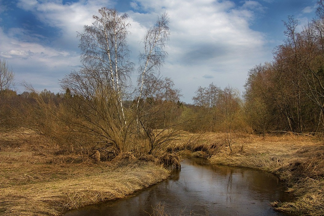 photo "My spring." tags: landscape, spring, water