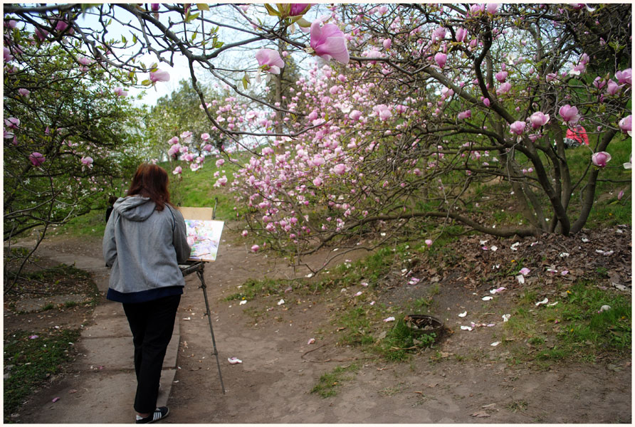 photo "In the magnolia garden" tags: genre, 