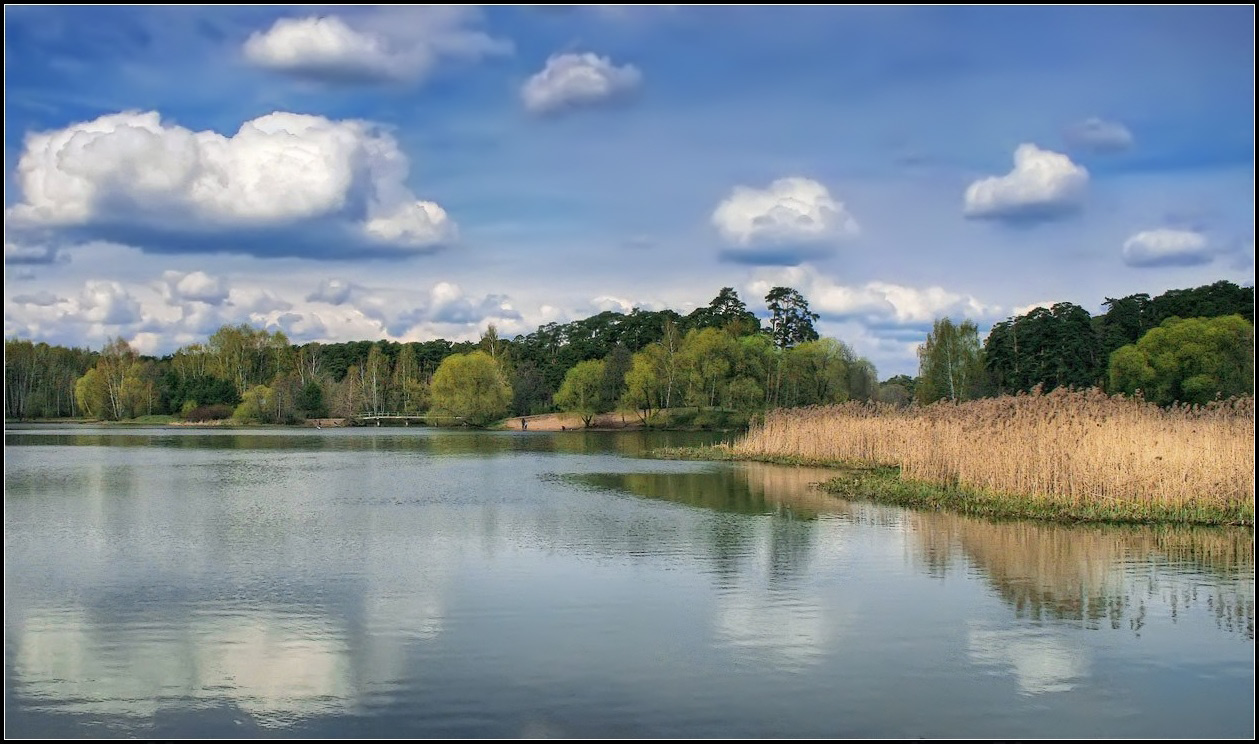 photo "spring day" tags: landscape, spring, water