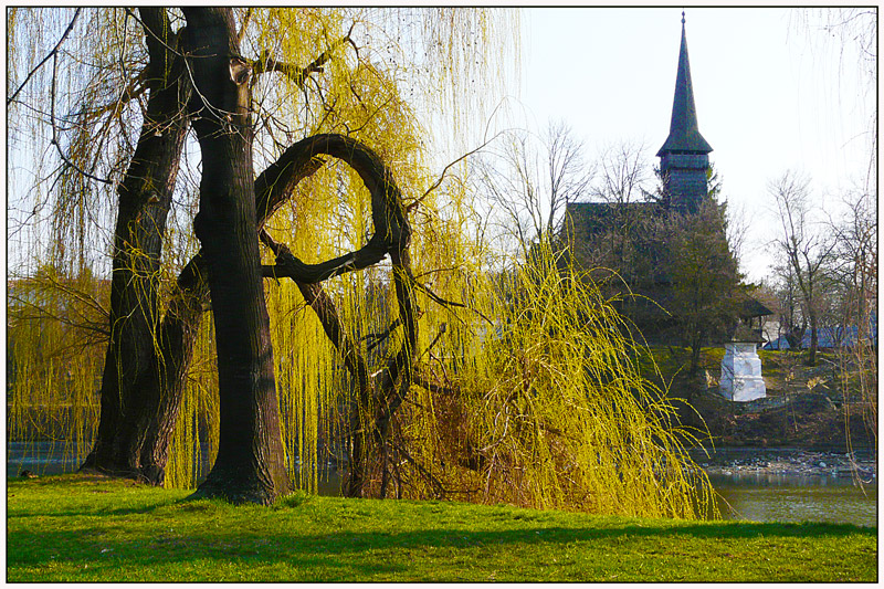 photo "Spring debut" tags: landscape, city, park, spring, tree