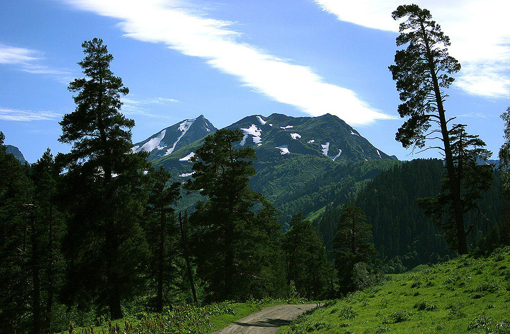 фото "Зелёная симфония" метки: пейзаж, горы, лето