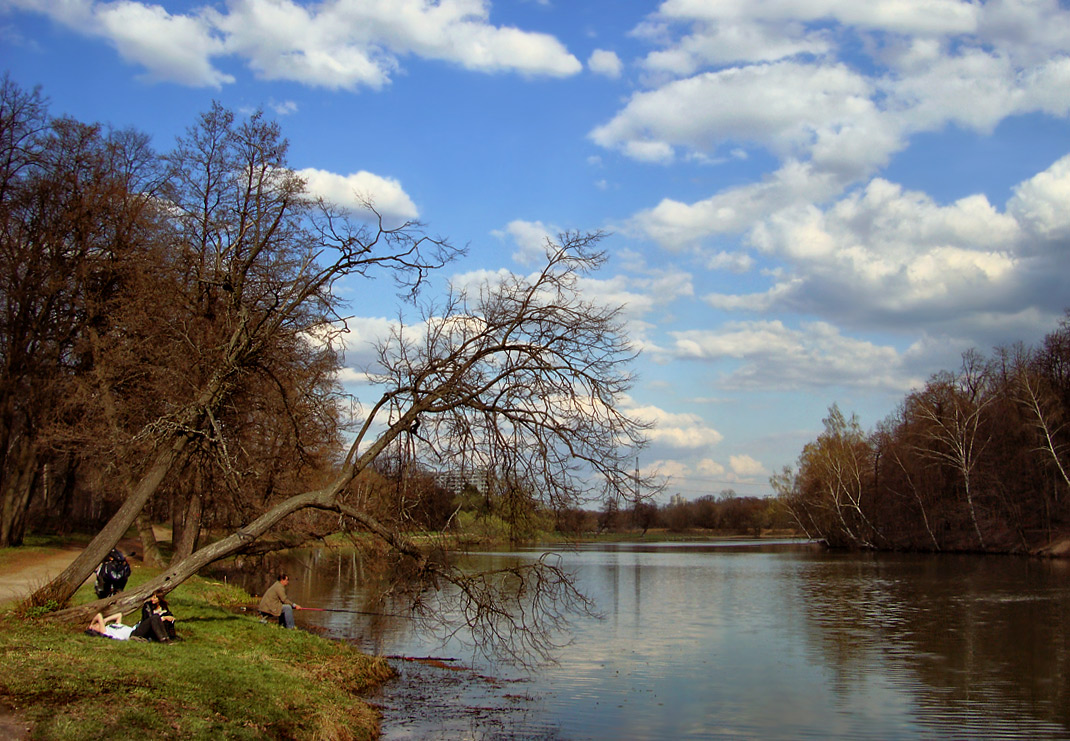 photo "***" tags: landscape, spring