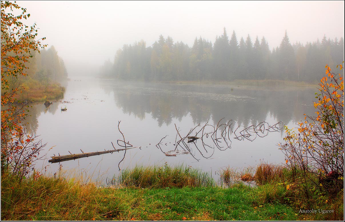 фото "Туманное утро" метки: пейзаж, осень