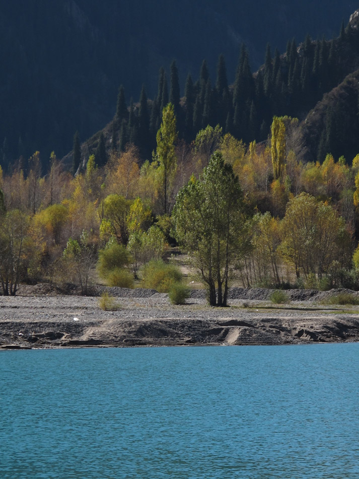 photo "***" tags: landscape, forest, water