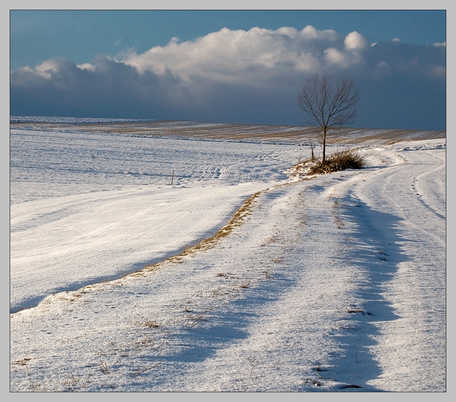 photo "***" tags: landscape, winter