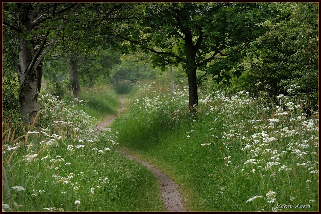photo "***" tags: landscape, nature, flowers, spring