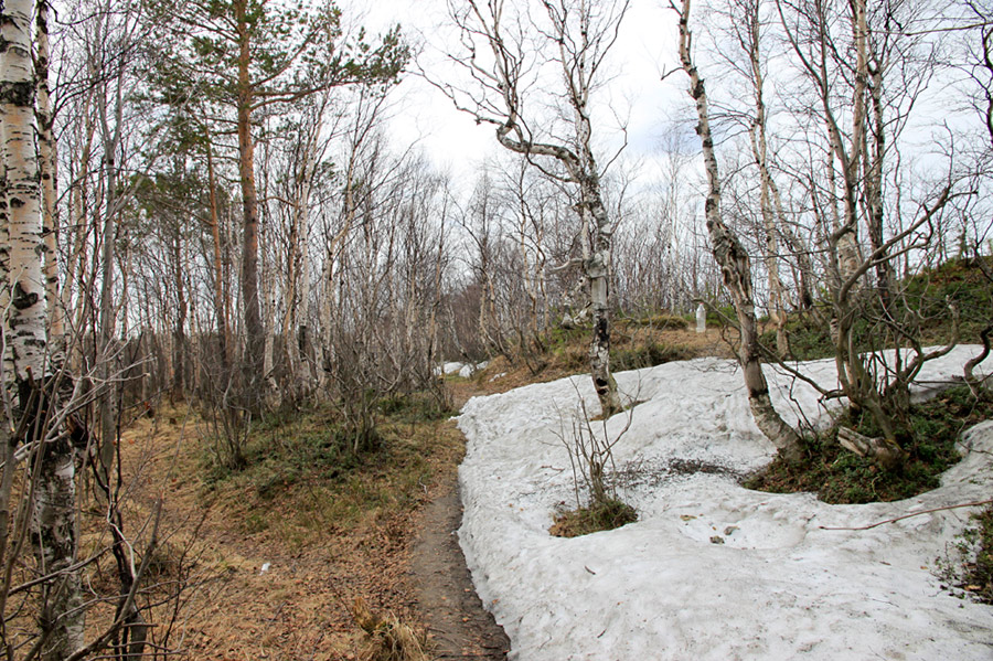 photo "***" tags: landscape, spring