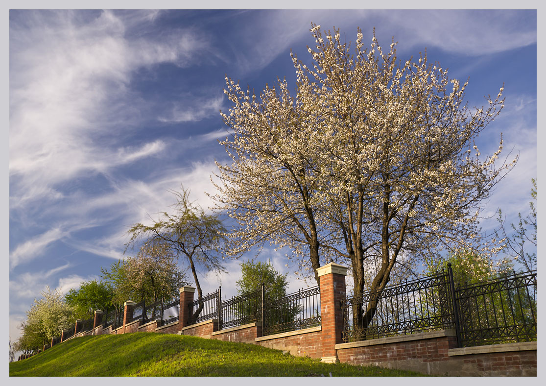 photo "Gardens in Bloom" tags: landscape, spring