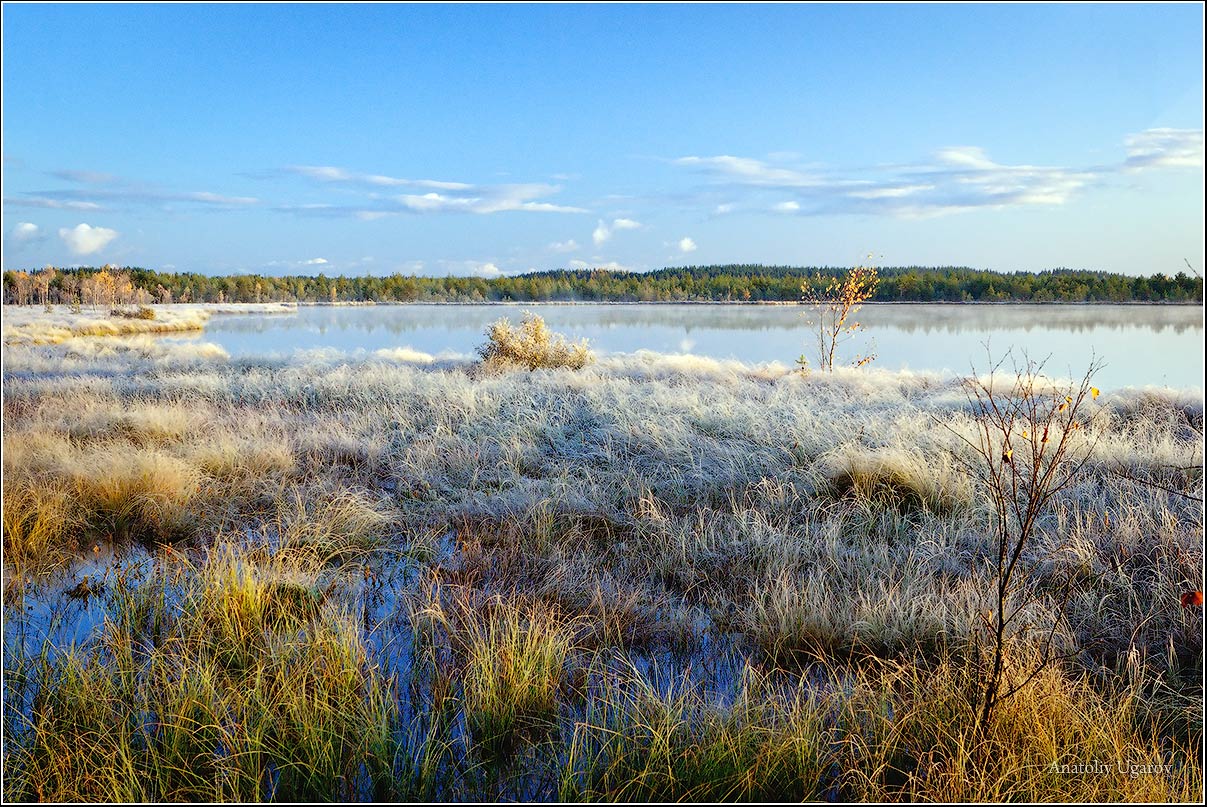 фото "Морозное утро" метки: пейзаж, осень