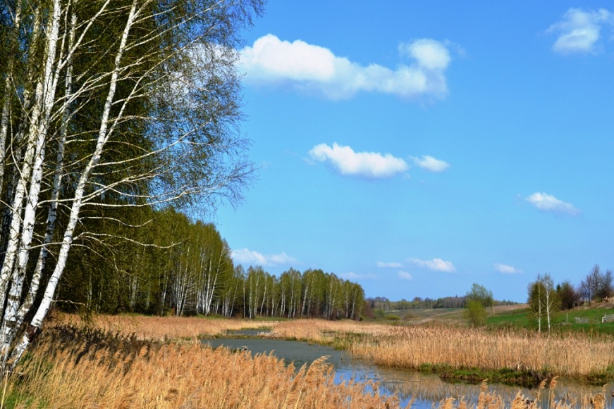 фото "***" метки: , 