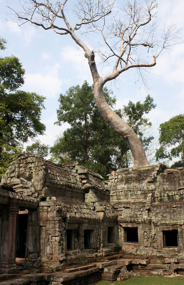 photo "Ta Prohm" tags: travel, architecture, landscape, Asia