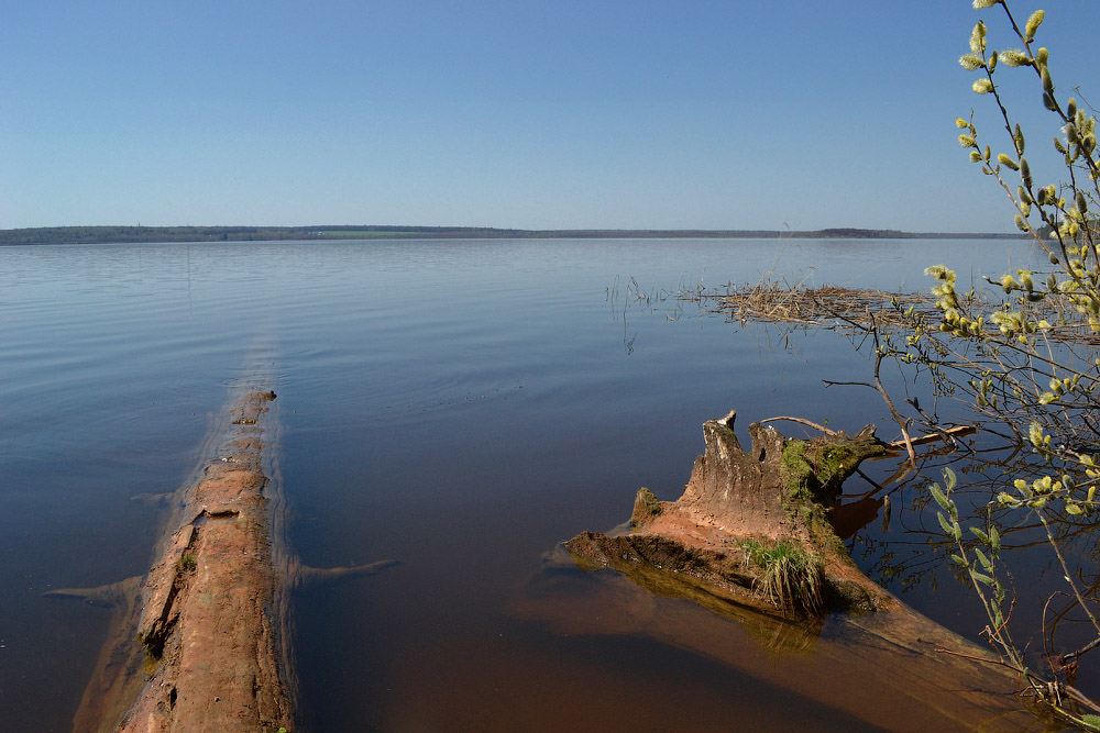 фото "Весенним утром..." метки: пейзаж, весна, вода