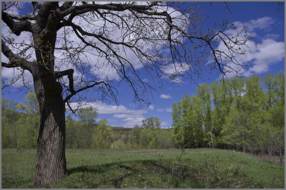 photo "***" tags: landscape, spring
