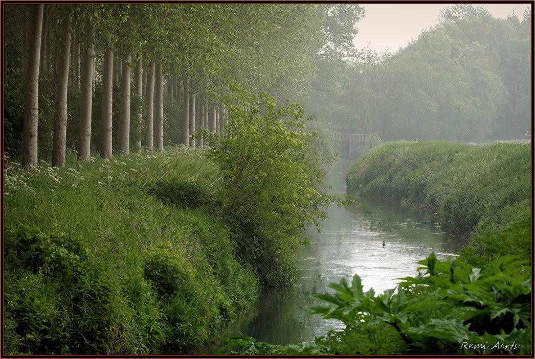 photo "the river" tags: landscape, spring, water