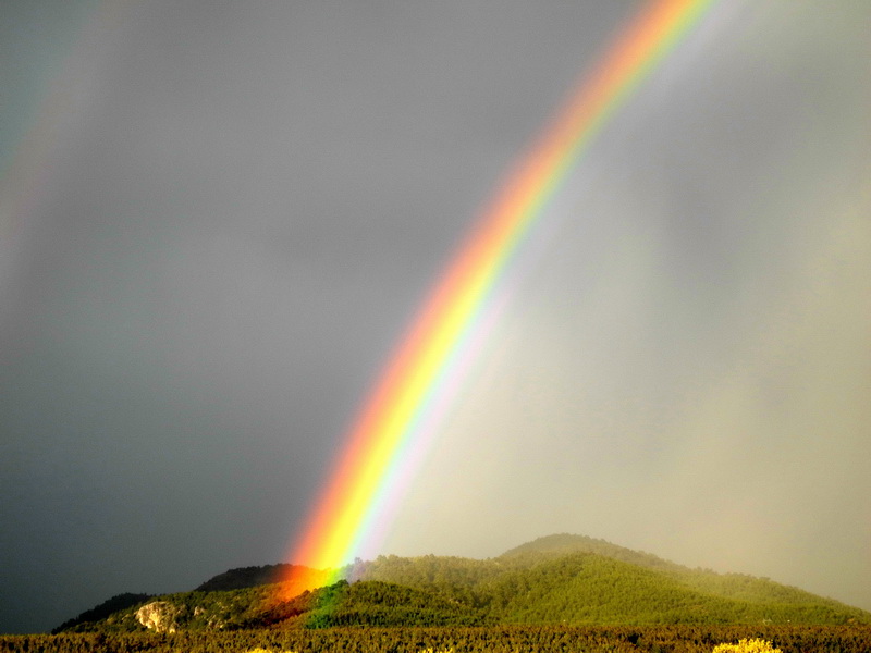 фото "Rainbow" метки: пейзаж, природа, весна