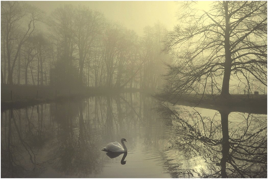 photo "***" tags: landscape, 