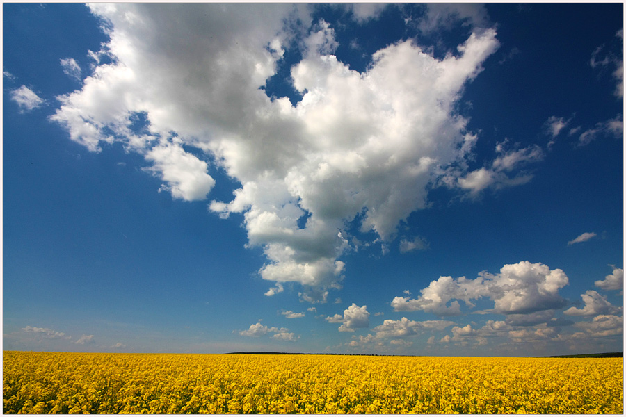 фото "Pastel spring" метки: пейзаж, весна, небо, облака, поле