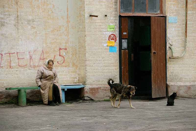 photo "***" tags: genre, 