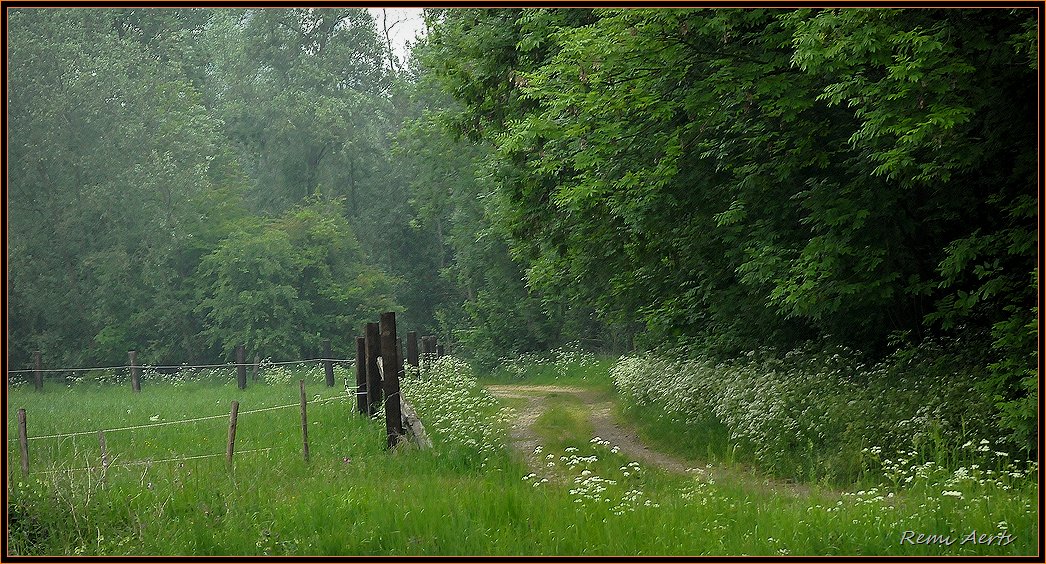 photo "let's go hiking" tags: landscape, nature, flowers, spring