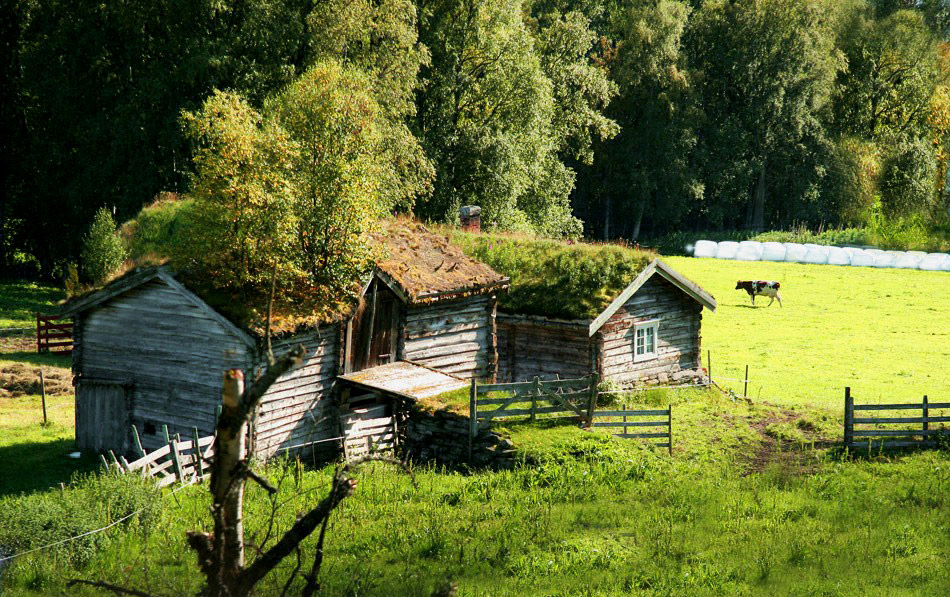 photo "Mountain farm." tags: landscape, summer