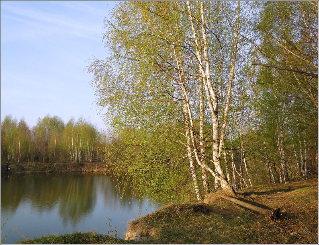 фото "Раннее утро" метки: пейзаж, весна, вода