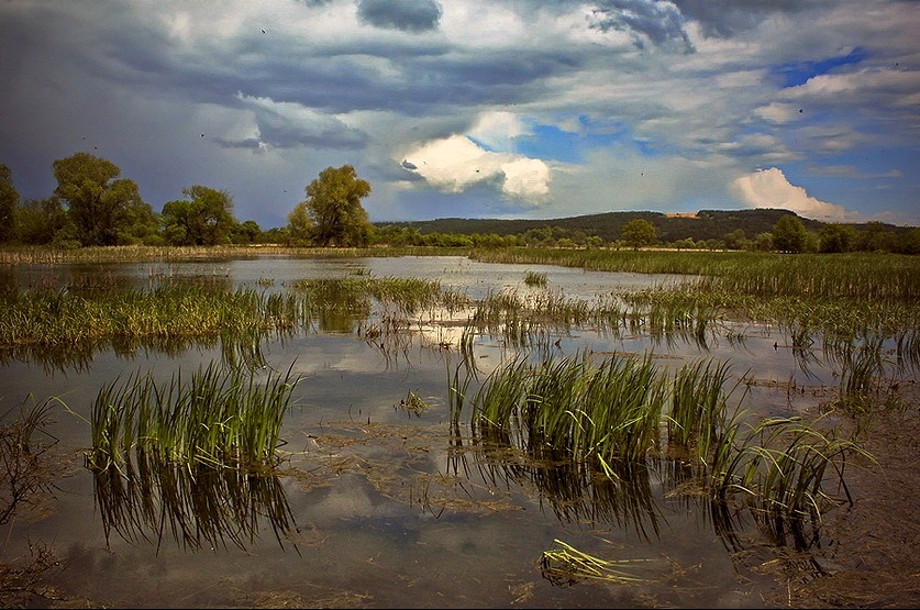 фото "Идет гроза" метки: пейзаж, вода, облака