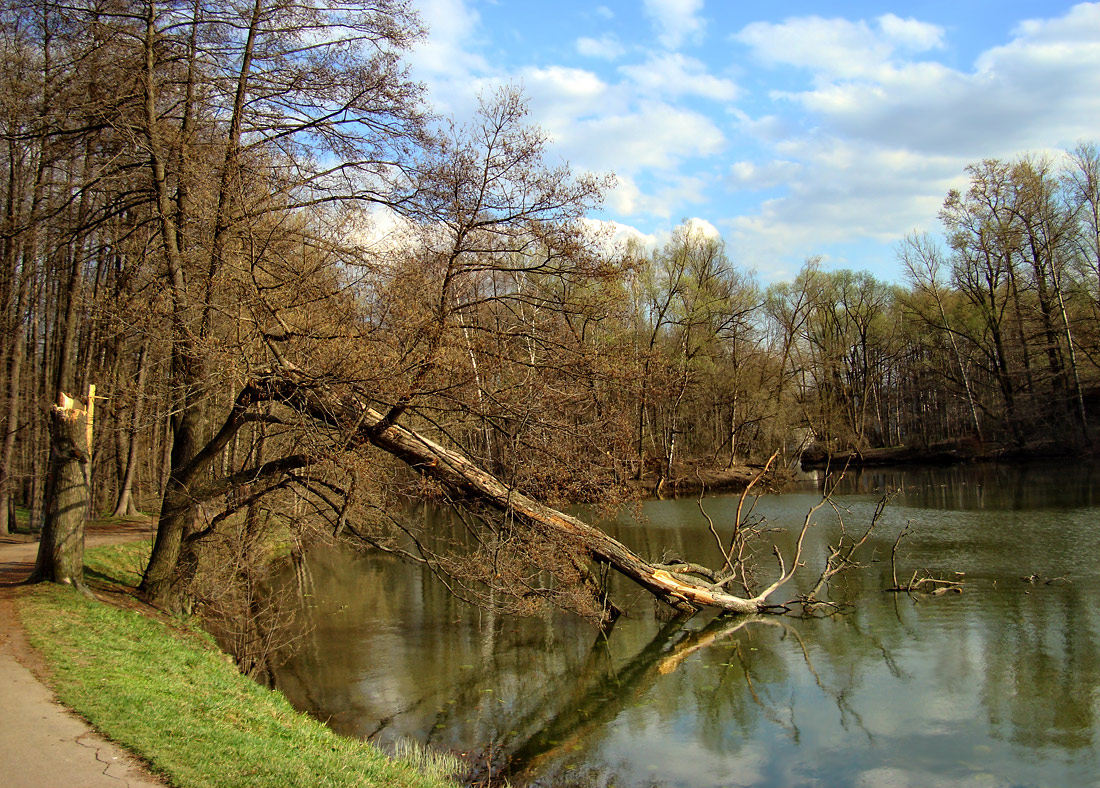 photo ".. after a hard winter .." tags: landscape, spring