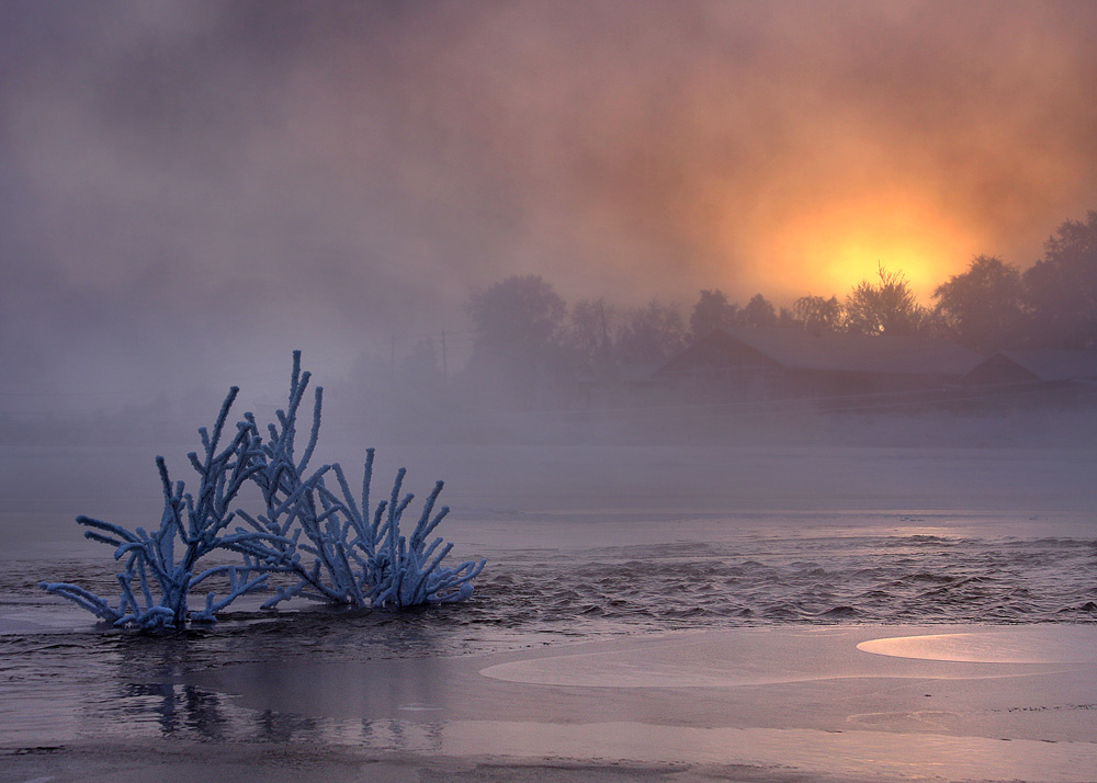 фото "Зимнее наводнение" метки: пейзаж, зима